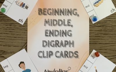 Beginning, Middle, End Digraph Clip Cards