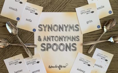 Synonyms and Antonyms Spoons