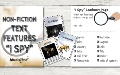 Non-Fiction Text Features I Spy