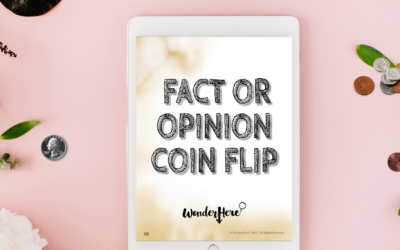 Fact or Opinion Coin Flip