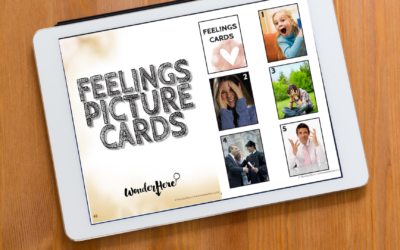 Feelings Picture Cards