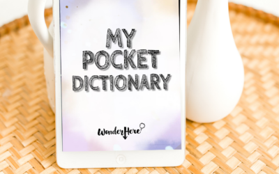 My Pocket Dictionary