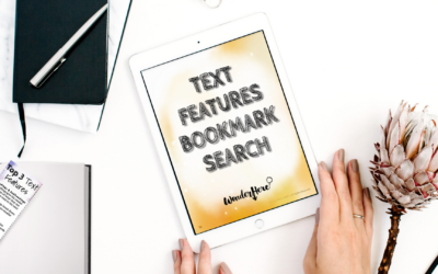 Text Features Bookmark Search