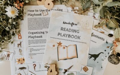 Reading Playbook A