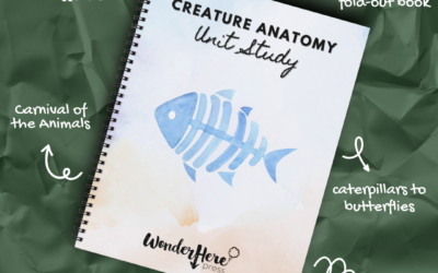 Creature Anatomy Unit Study Download