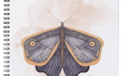 “Bugs & Butterflies” Summer Mini Unit Study Download