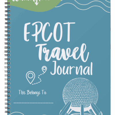 Epcot Travel Journal