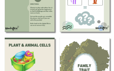 Biology Additional Activities Download