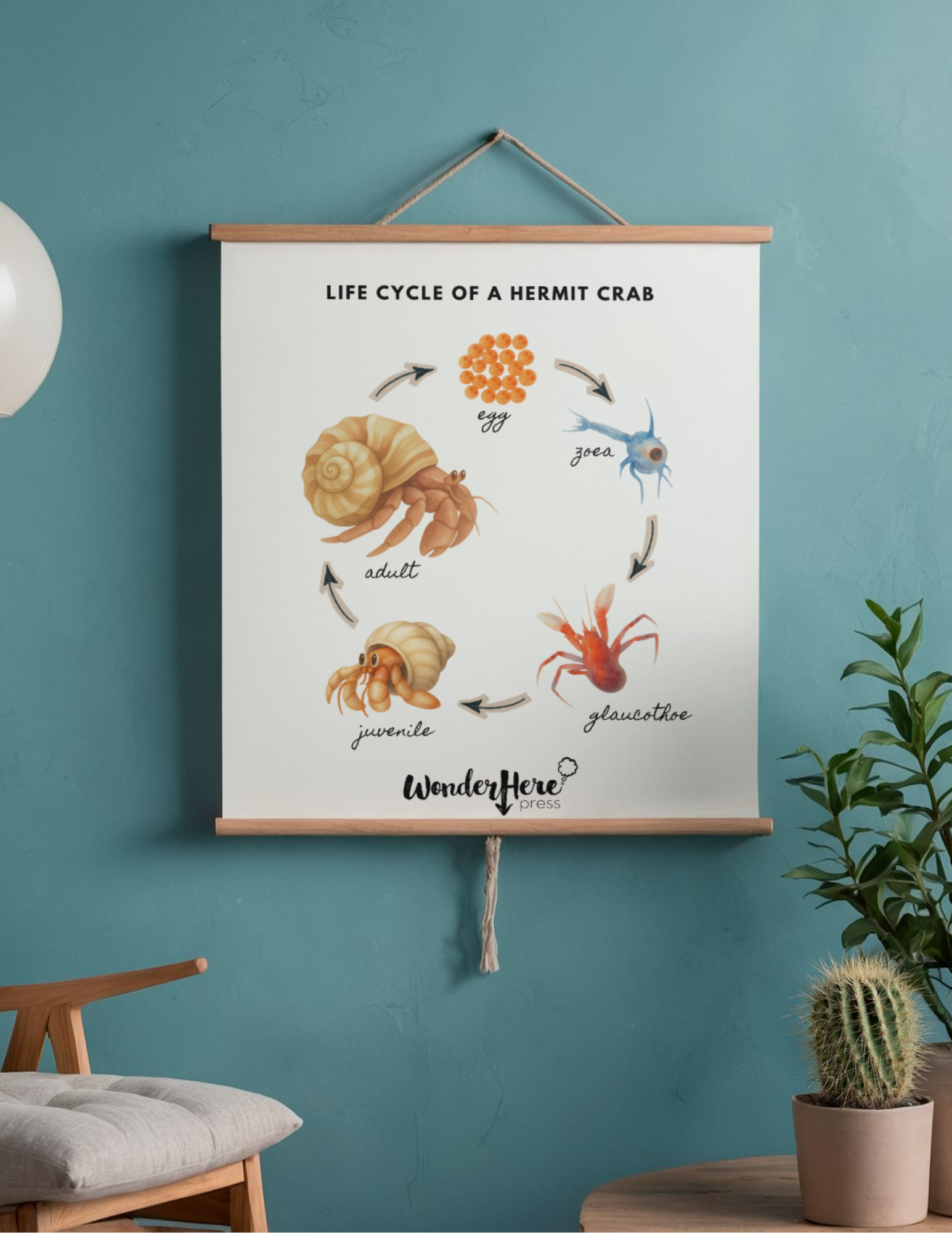 Freebie of the Week
